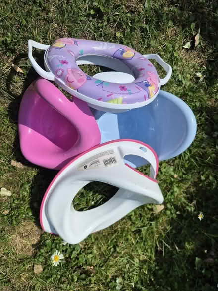 Photo of free Potty / toilet training (Ealing W13) #1
