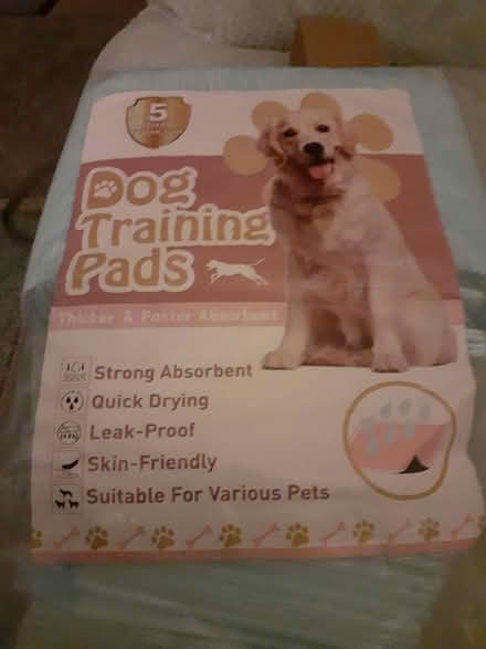 Photo of free Puppy Training Pads (Hertford Heath SG13) #1