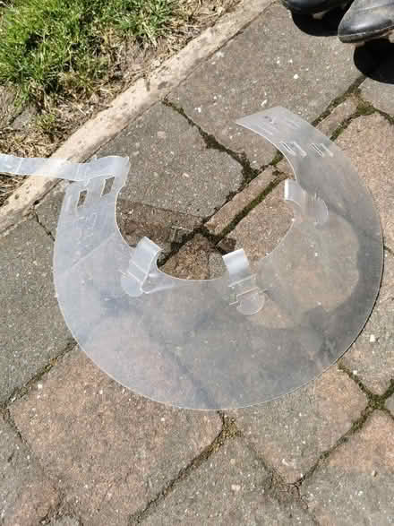 Photo of free Cat anti scratch collar (The Nurserylands TW12) #1