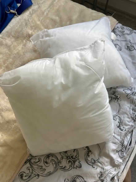 Photo of free 2 small cushion inners (Portchester PO16) #1