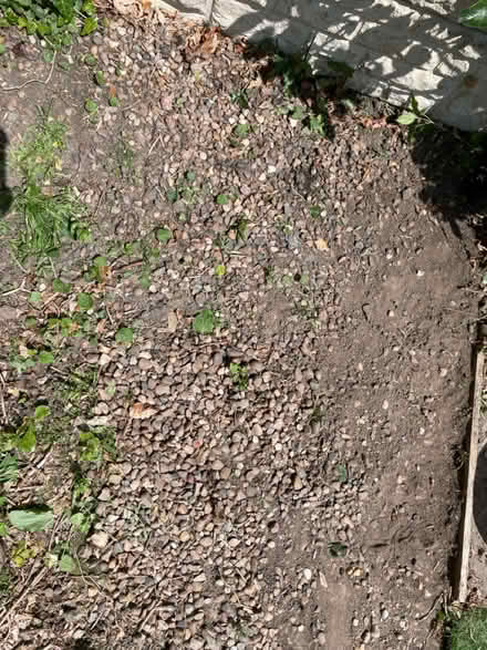 Photo of free Pebbles (Dore, S17) #3