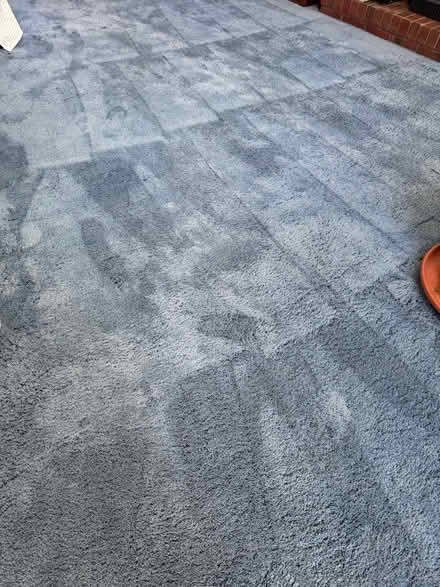 Photo of free Wall to wall carpet (Terra Linda) #4