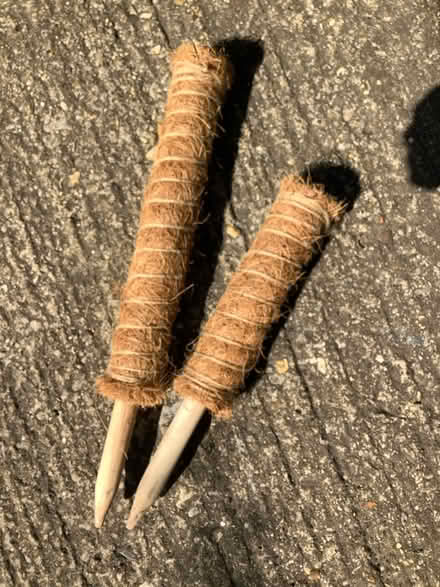 Photo of free Plant support (Hatfield AL10) #1