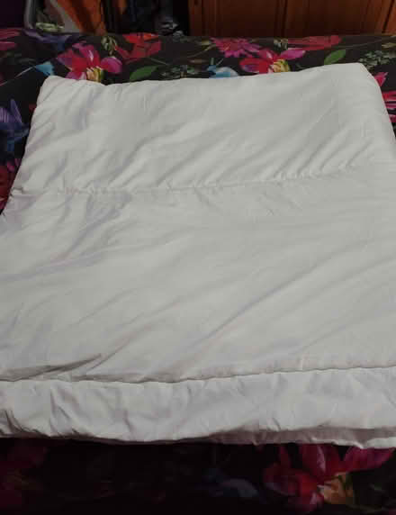 Photo of free Double Duvet & 2x Pillows (Newcastle St5) #3