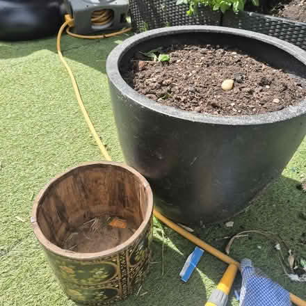 Photo of free Plant pots (Woking) #2