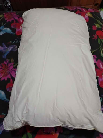 Photo of free Double Duvet & 2x Pillows (Newcastle St5) #4