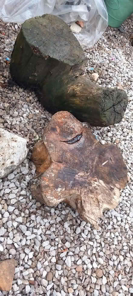 Photo of free 3 large logs (Moss Side PR25) #1