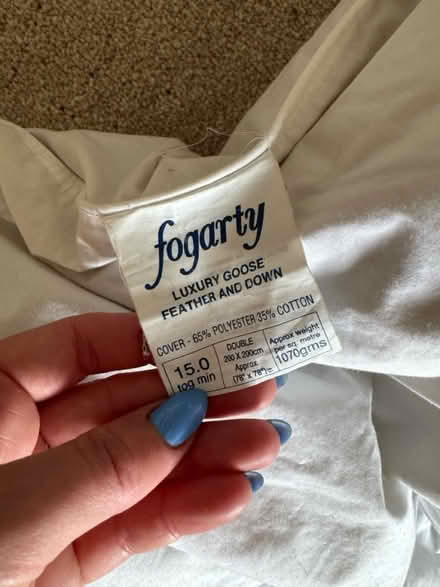 Photo of free Goose down double duvet (SE13) #1