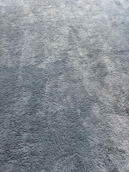 Photo of free Wall to wall carpet (Terra Linda) #3