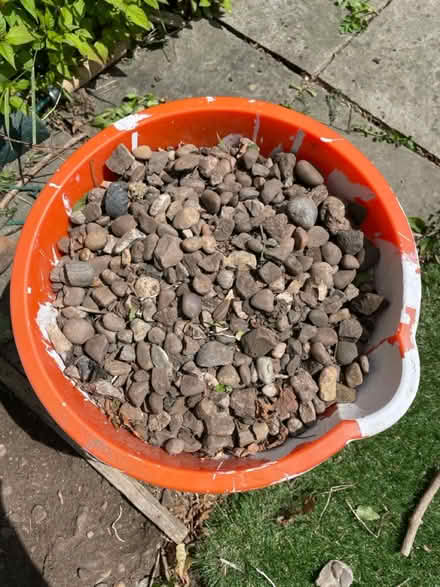 Photo of free Pebbles (Dore, S17) #1