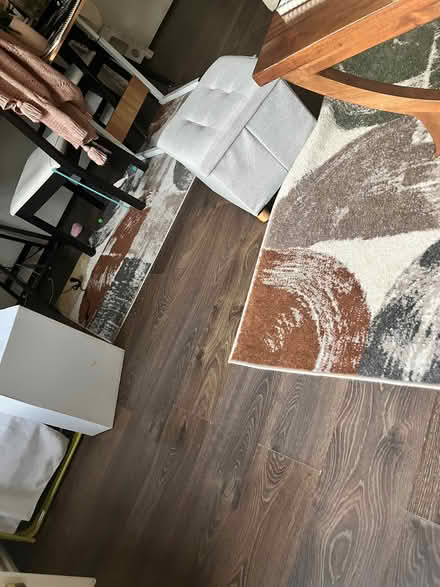 Photo of free Set of 2 Dunelm rugs (Coleridge Ward CB1) #2