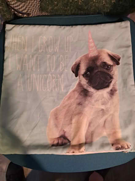 Photo of free Pug cushion cover (Fishermead MK6) #1