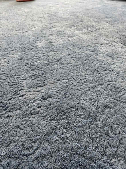 Photo of free Wall to wall carpet (Terra Linda) #1