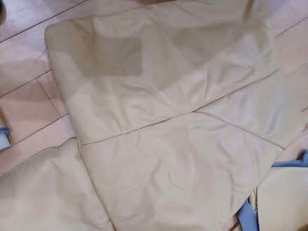 Photo of free Yellow Leather Chair Covers (Common Edge FY4) #4