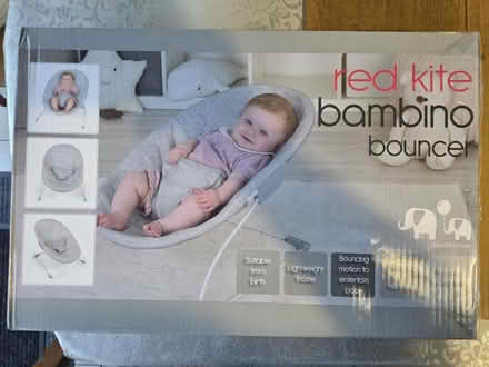 Photo of free Never used bouncer - E17 8NH (E17 8NH) #1