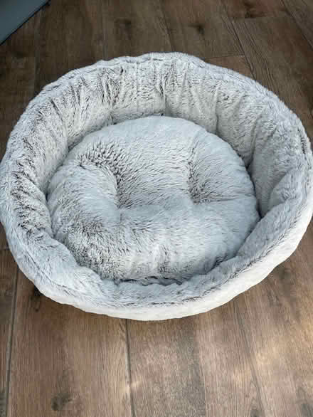 Photo of free Cat Bed and Litter Tray (Eastcote HA4) #1