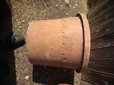 Photo of free Plastic plant pot. (Cobbs Quay BH15) #4