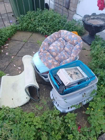 Photo of free Cat and dog stuff (Maryland E15) #1
