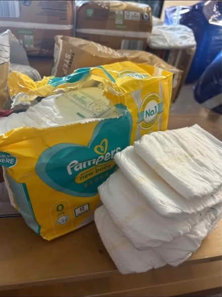 Photo of free nappies and adult nappies (Bechstein meadow BA14) #2