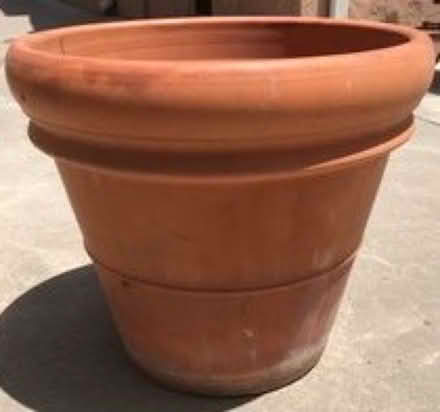 Photo of Plant pot medium/large (Eye,) #1