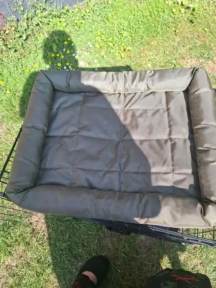 Photo of free Small dog crate (Mitcham) #2