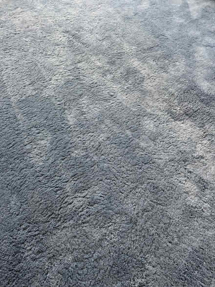 Photo of free Wall to wall carpet (Terra Linda) #2
