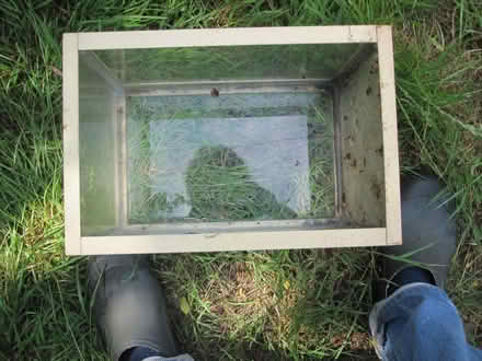 Photo of free Small Fish Tank for Repair Or Spares (North Sheen TW9) #1