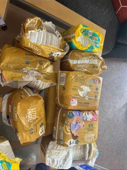 Photo of free nappies and adult nappies (Bechstein meadow BA14) #1