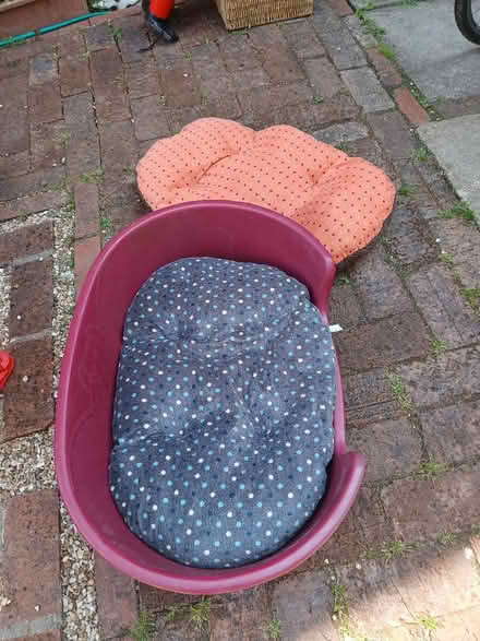 Photo of free Hard plastic dog bed with 2 cushions (Stroud GL5) #1