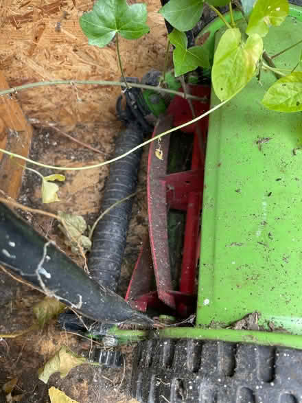 Photo of free Old pushmower (New Marston OX3) #2