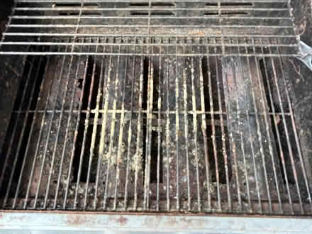 Photo of free Gas BBQ (no gas) (North Dulwich SE24) #3