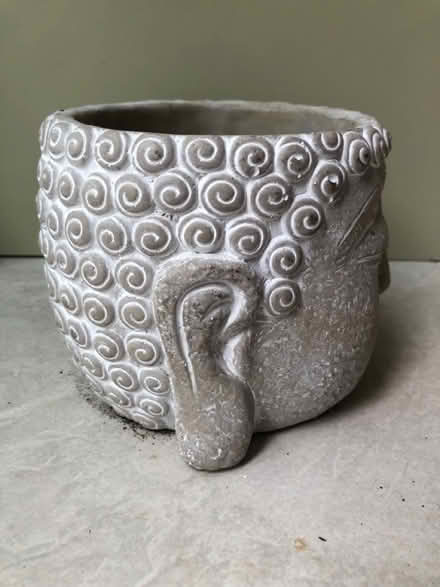 Photo of free Stone Buddha head pot (SG4 Hitchin) #2