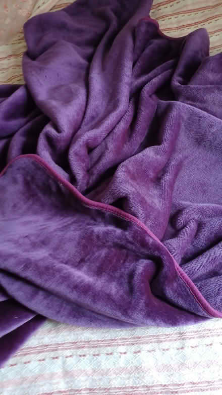 Photo of free Velour bedspread. (Bedminster BS3) #1