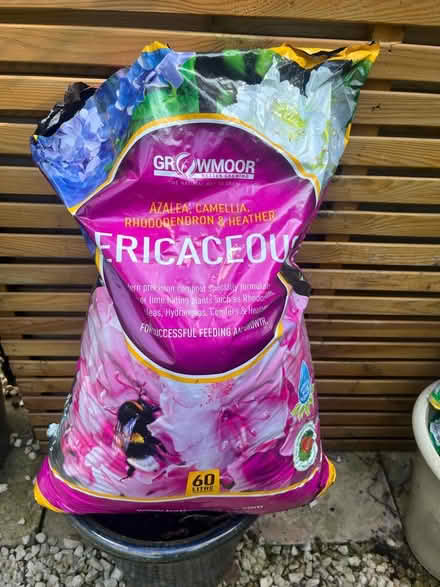 Photo of free Ericaceous soil (Tufnell Park, N19 5) #1