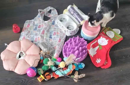 Photo of free cat toys, bowls etc (Morden (Morden (near Ravensbury Park)) #2