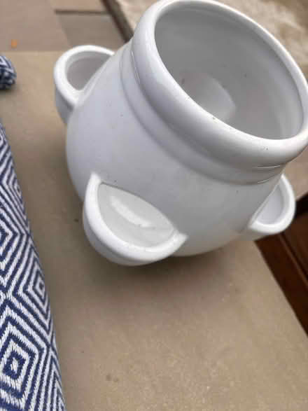 Photo of free Herb pot kitchen windowsill (Cowie FK7 7) #1
