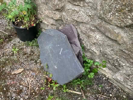 Photo of free House clearance (Parwich DE6) #1