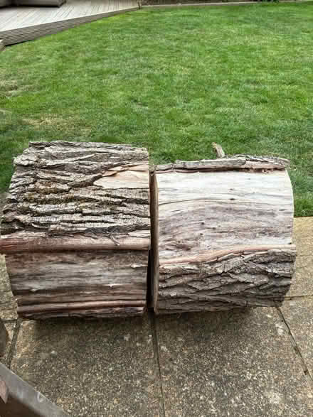 Photo of free log rounds (OX16 Cherwell heights) #1