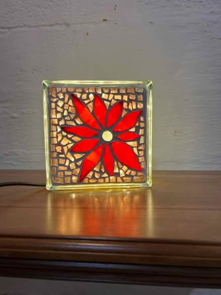 Photo of free Christmas Pointsettia Light (Fairland) #4