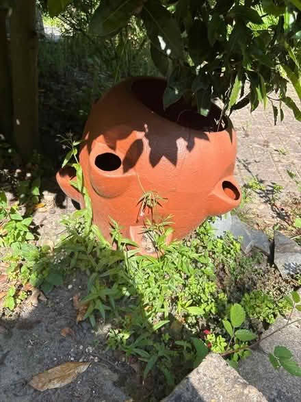 Photo of free plastic strawberry planter (UpperHale GU9) #1