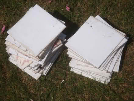 Photo of free Plain White Tiles (Penn Hill BH14) #1