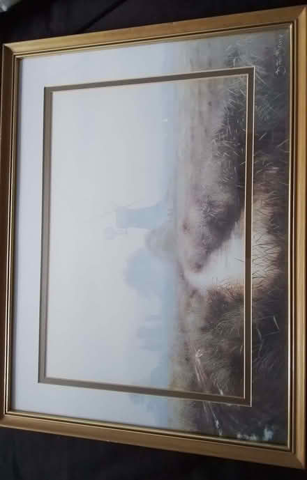 Photo of free Various items (Putnoe MK41) #2