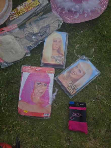 Photo of free Random selection of fancy dress (Bladon OX20) #3