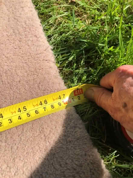 Photo of free Rug (Sheet) #3