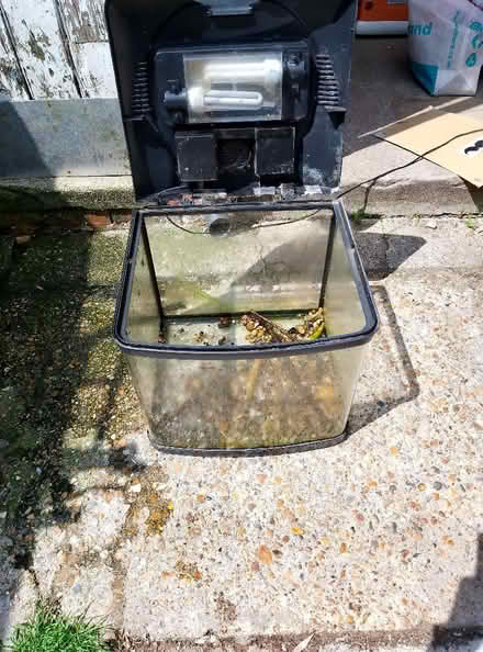 Photo of free Heated fish tank/vivarium (Portsmouth PO3) #2