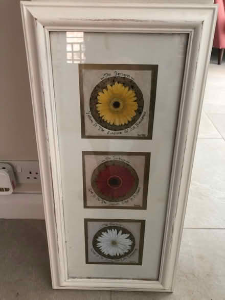 Photo of free Framed Gerbera artwork (SG4 Hitchin) #2
