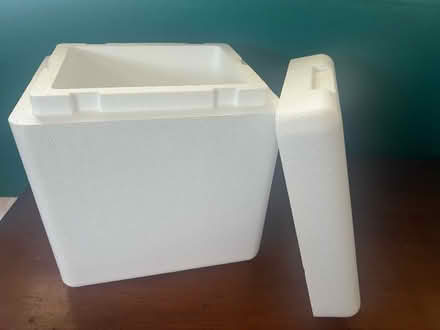 Photo of free Styrofoam cooler & 3 ice packs (Hawthorne) #2