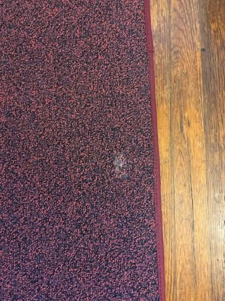 Photo of free Burgundy area rug (Odenton Kings Heights) #2