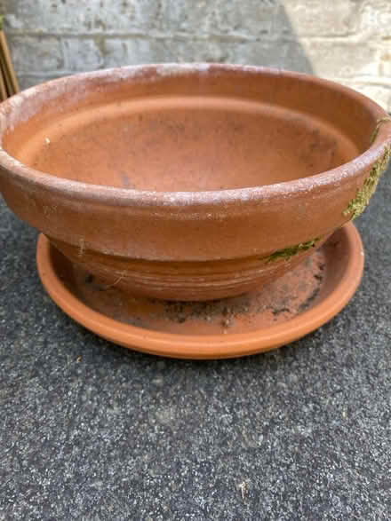 Photo of free Terracotta planter (Stockwell) #1