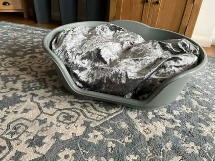 Photo of free Dog bed (Malvern Link WR14) #1